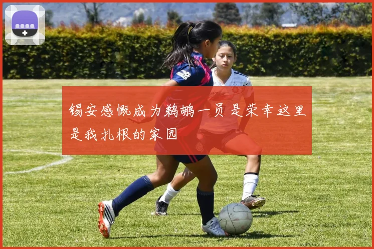 锡安感慨成为鹈鹕一员是荣幸这里是我扎根的家园